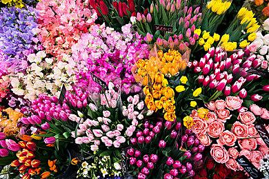 Level Infinite亮相2025科隆游戏展，重磅作品与预告片集中发布